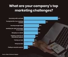 What are your company's top marketing challenges?