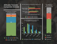 Attitudes Towards Companion Animals