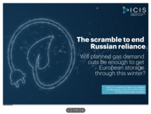 The Scramble to End Russian Reliance: Will planned gas demand cuts be enough to get European storage through this winter?