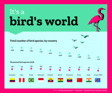 World Migratory Bird Day 2020