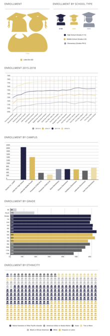 Student Demographics