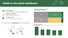 Year of plant health 2020 dashboard