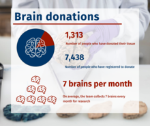 Behind the scenes at the Parkinson’s UK Brain Bank