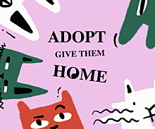 Adopt announcement