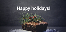 Happy holidays email